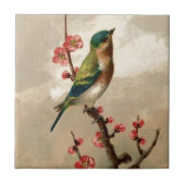   vogel tegeltje (Voorkant)