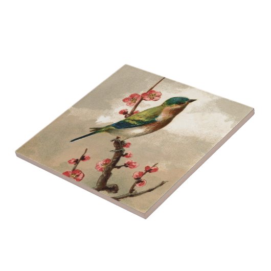   vogel tegeltje (Zijkant)