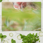 vogel theedoek (Gevouwen)