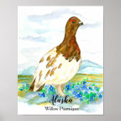 Vogel van Alaska Willow Ptarmigan Poster (Voorkant)