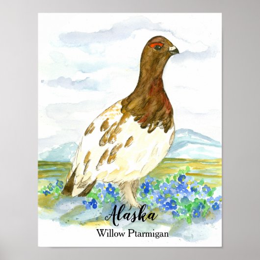 Vogel van Alaska Willow Ptarmigan Poster (Voorkant)