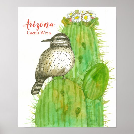 Vogel van Arizona Cactus Wren Poster (Voorkant)