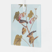 Vogel van Audubon Bay Breasted Warbler op Plant va Glas Ornament (Voorkant links)
