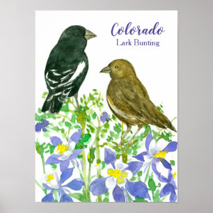 Vogel van Colorado Lark die wilde bloemen bundelt Poster