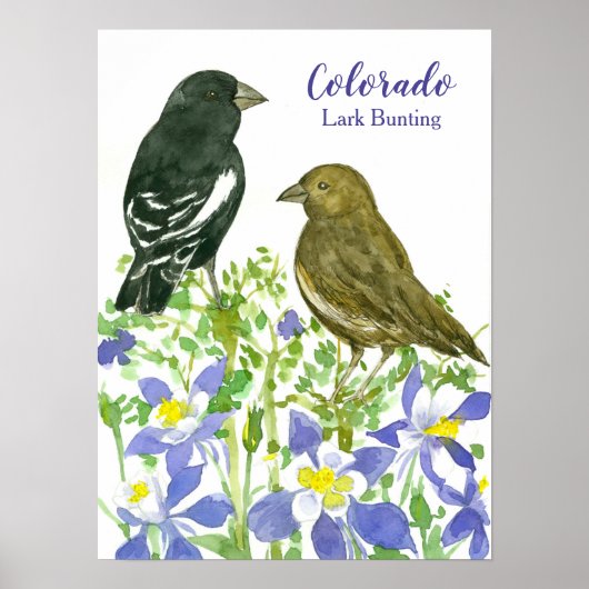 Vogel van Colorado Lark die wilde bloemen bundelt Poster (Voorkant)