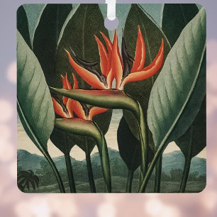 vogel van de Botanische tempel van Flora van het  Metalen Ornament