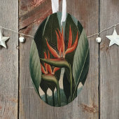  vogel van de Botanische tempel van Flora van het  Ornament