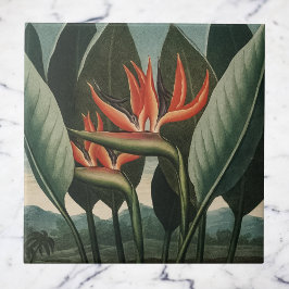 vogel van de Botanische tempel van Flora van het Tegeltje
