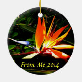 Vogel van de kerstfeestdag van het Paradijs Orname Keramisch Ornament (Achterkant)
