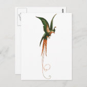 Vogel van de  kunst van het Paradijs Briefkaart (Voorkant / Achterkant)