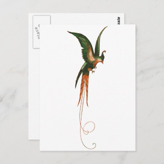 Vogel van de  kunst van het Paradijs Briefkaart (Voorkant / Achterkant)