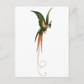 Vogel van de  kunst van het Paradijs Briefkaart (Voorkant)