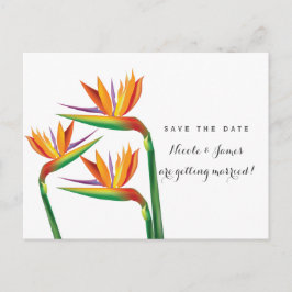 Vogel van de Paradijs Trouwkaart Save The Date Pos Aankondigingskaart