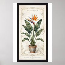 Vogel van de Paradijs Vintage Botanische Poster Ge