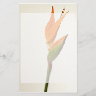 Vogel van de paradijsbloem briefpapier