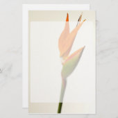 Vogel van de paradijsbloem briefpapier (Voorkant / Achterkant)
