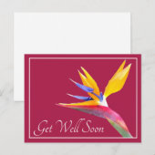  vogel van de paradijse zwendel terug briefkaart (Voorkant / Achterkant)