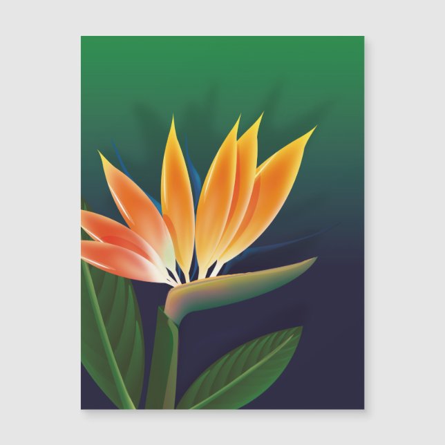 Vogel van de paradijzenbloem (Voorkant)