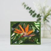 Vogel van de paradijzenbloem briefkaart (Staand voorkant)
