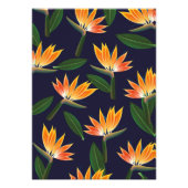 Vogel van de paradijzenbloem foto afdruk (Voorkant)