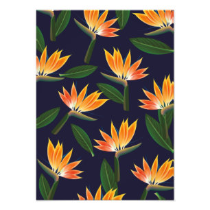 Vogel van de paradijzenbloem foto afdruk