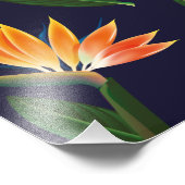 Vogel van de paradijzenbloem foto afdruk (Hoek)