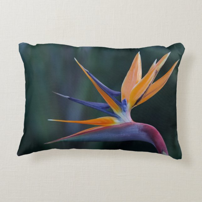 Vogel van de Paradise Accent Pillow Accent Kussen (Achterkant)