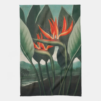 Vogel van de Paradise Kitchen Towel Theedoek