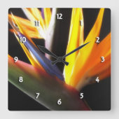 Vogel van de Paradise  Vierkante Klok (Voorkant)