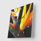 Vogel van de Paradise  Vierkante Klok (Hoek)