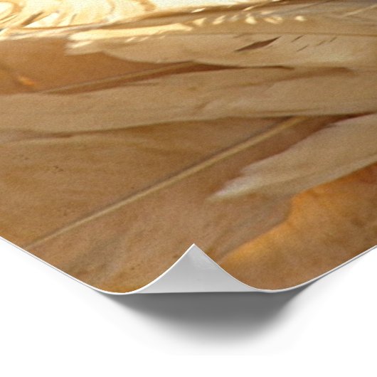 Vogel van de Schoonheid van de Fantail Pigeon Poster (Hoek)