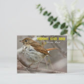 Vogel van de staat Vermont: Hermit Thrush Briefkaart (Staand voorkant)