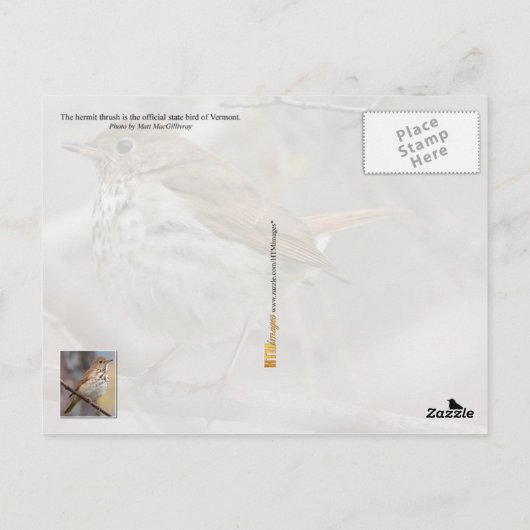 Vogel van de staat Vermont: Hermit Thrush Briefkaart (Achterkant)