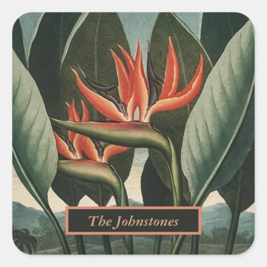 Vogel van de  tempel van Flora van het Paradijs me Vierkante Sticker (Voorkant)
