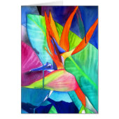 Vogel van de tropische kunst van Paradise Strelitz (Voorkant)