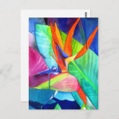 Vogel van de tropische kunst van Paradise Strelitz Briefkaart (Voorkant / Achterkant)