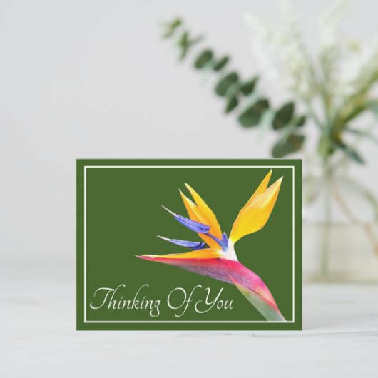 Vogel van een paradijse groene achtergrond die je  briefkaart (Staand voorkant)