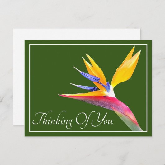 Vogel van een paradijse groene achtergrond die je briefkaart (Voorkant / Achterkant)