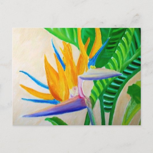 Vogel van het Briefkaart van Paradise (Voorkant)