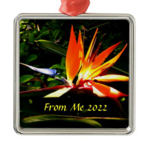 Vogel van het Ornament van de kerstfeestdag van he