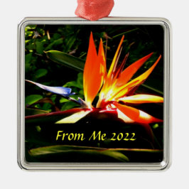 Vogel van het Ornament van de kerstfeestdag van he