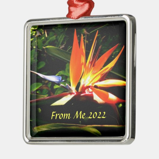 Vogel van het Ornament van de kerstfeestdag van he (Links)