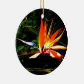 Vogel van het Ornament van Paradise (Rechts)