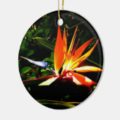 Vogel van het Ornament van Paradise (Links)