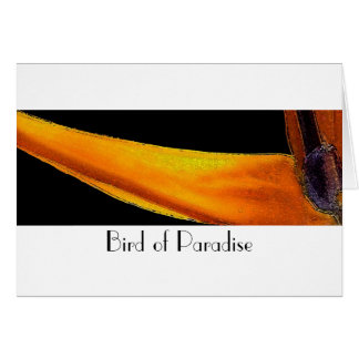 Vogel van het Paradijs