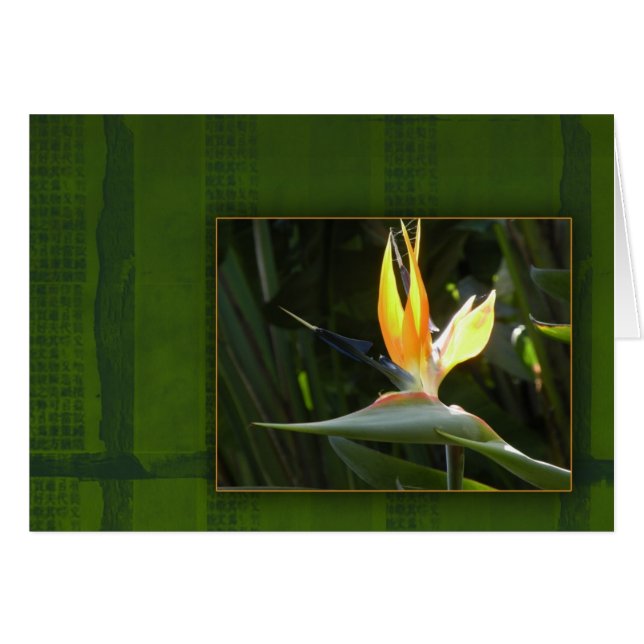 Vogel van het Paradijs (Voorkant Horizontaal)