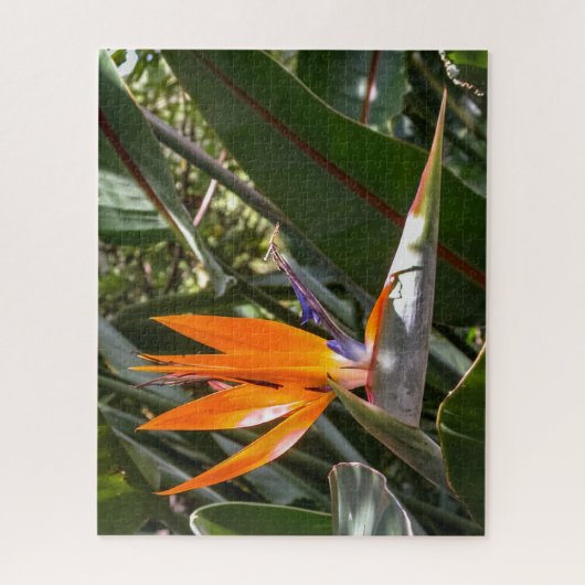 Vogel van het Paradijs #1 Legpuzzel (Verticaal)