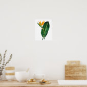 Vogel van het paradijs Afdrukken 1 Tropisch botani Poster (Keuken)