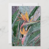 Vogel van het Paradijs Bedankkaart (Voorkant)