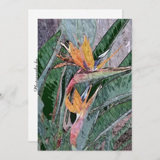 Vogel van het Paradijs Bedankkaart (Voorkant / Achterkant)